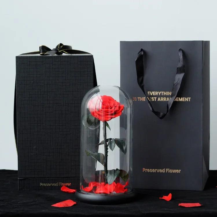 Eternal Rose Little Prince Gift