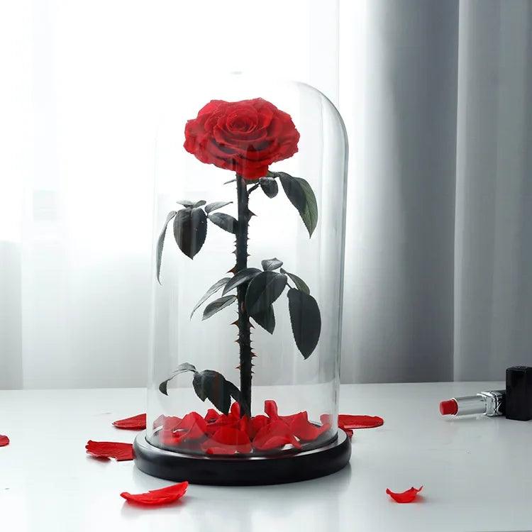 Eternal Rose Little Prince Gift